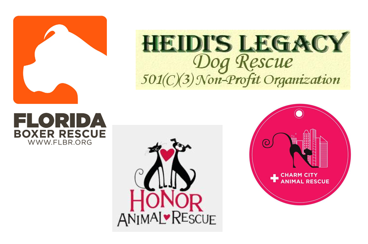 Shelters HSSP has assisted